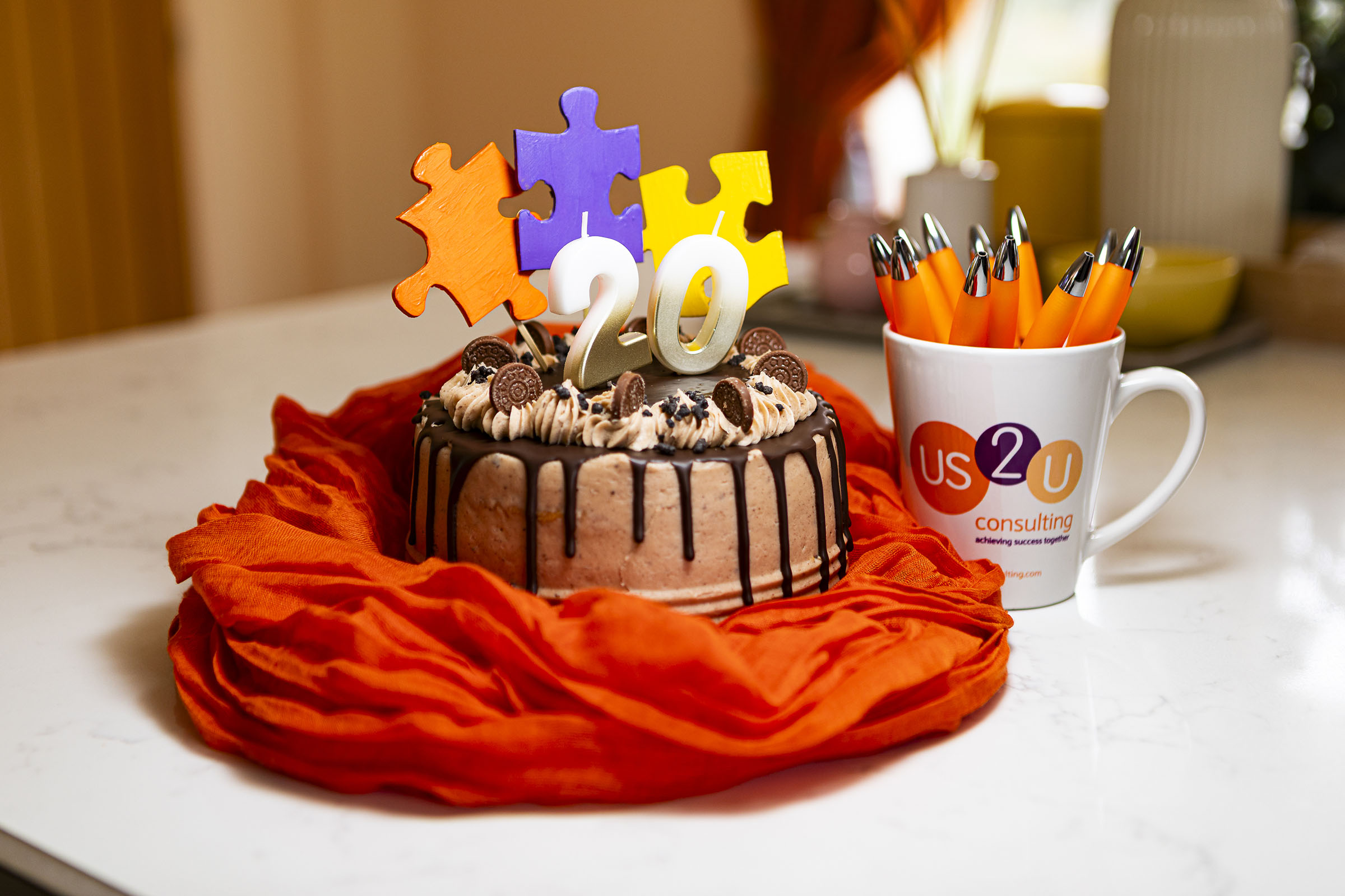 IMG 1495 us2u 20 years cake landscape web